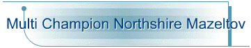 Multi Champion Northshire Mazeltov