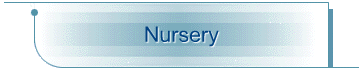 Nursery