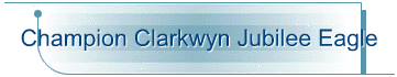 Champion Clarkwyn Jubilee Eagle